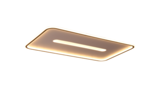 C2116